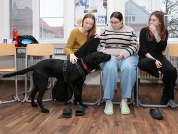 Když zvířata pomáhají